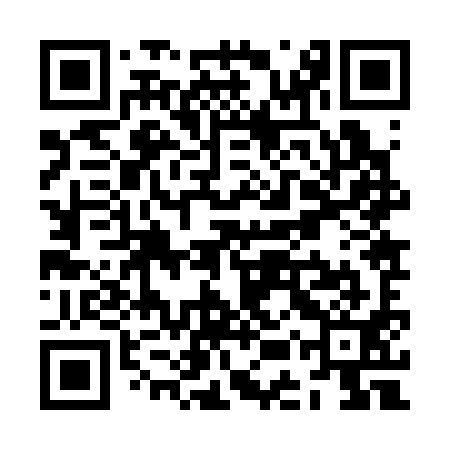 QR code for ZEZ391
