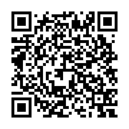 QR code for ZFB335