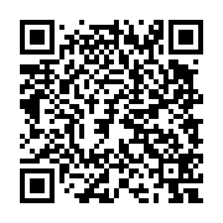 QR code for ZFD419
