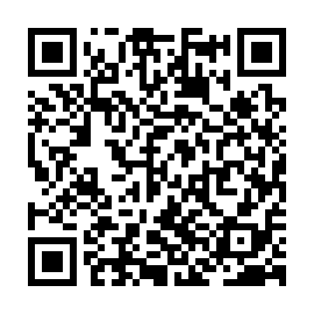 QR code for ZFE318