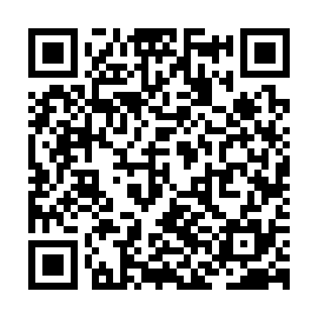 QR code for ZFF335