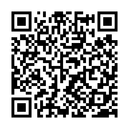QR code for ZFF658