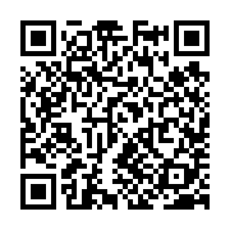 QR code for ZFF689