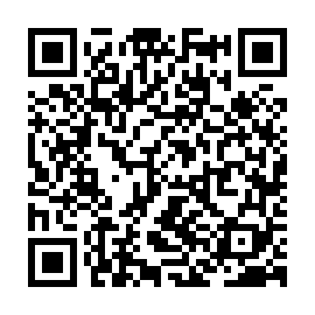 QR code for ZFF869