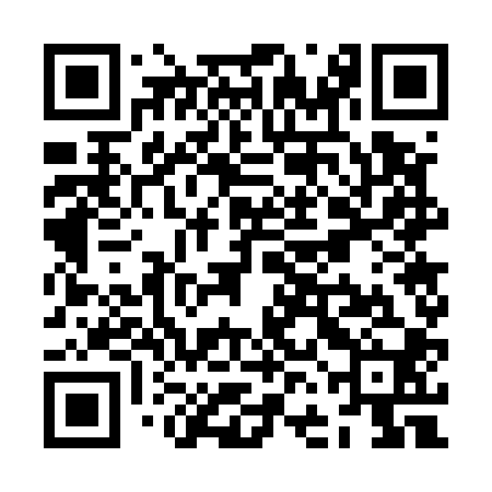QR code for ZFG500