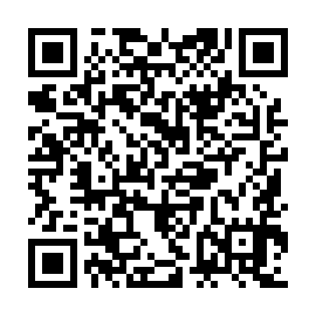 QR code for ZFI095