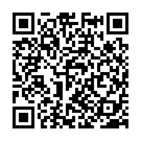 QR code for ZFI319