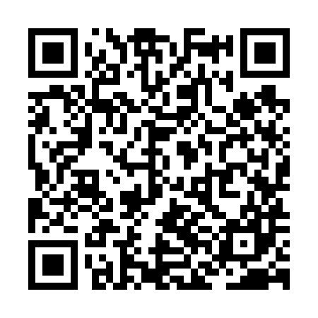 QR code for ZFK687