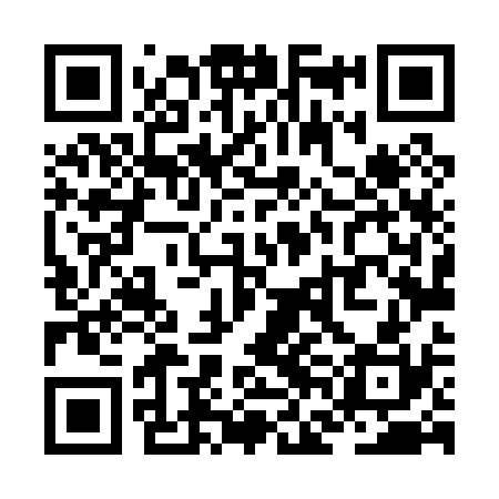 QR code for ZFL030