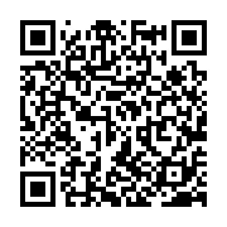 QR code for ZFL311