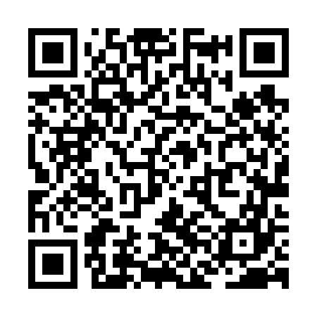 QR code for ZFL667