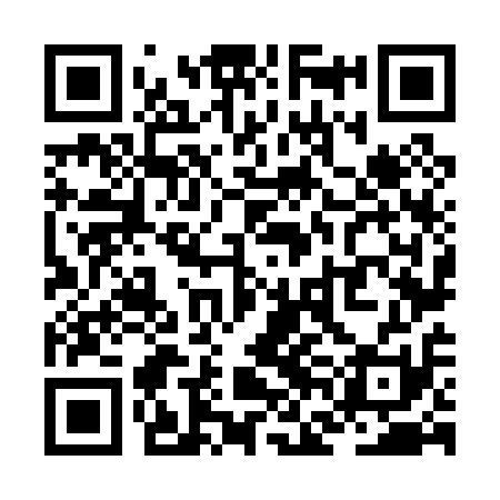 QR code for ZFN011