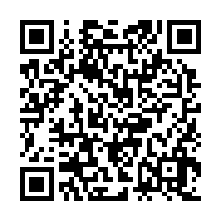 QR code for ZFN336