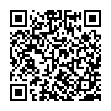QR code for ZFN383