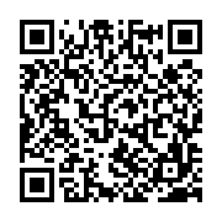 QR code for ZFO596