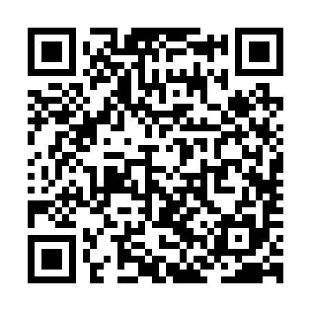 QR code for ZFR295
