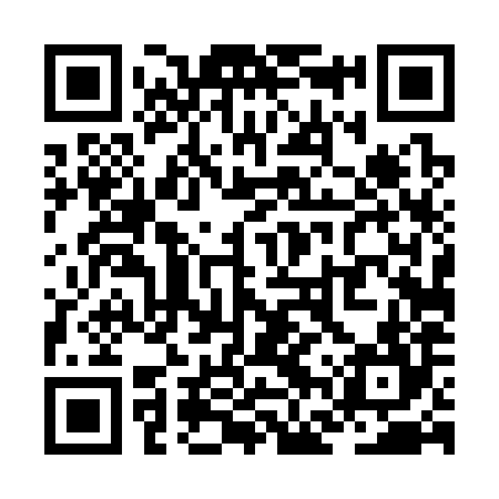 QR code for ZFT384