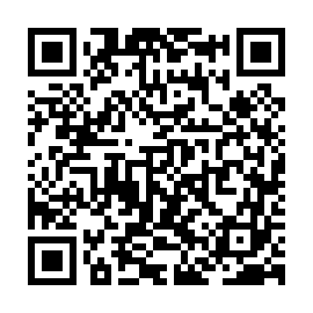 QR code for ZFV063