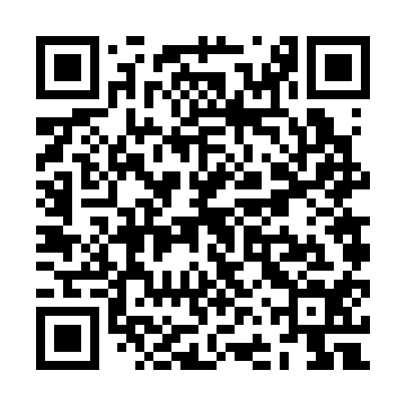 QR code for ZFV314