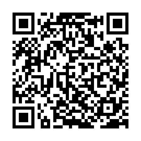 QR code for ZFV335