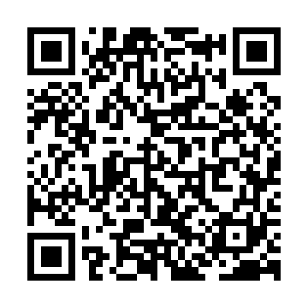 QR code for ZFW161