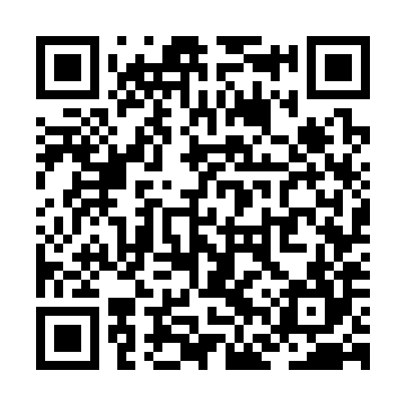 QR code for ZFW384