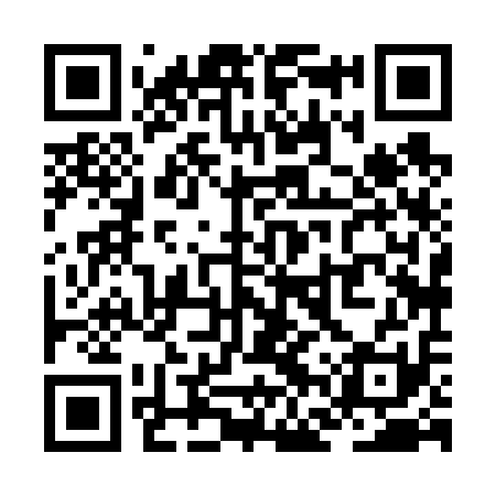 QR code for ZFX611