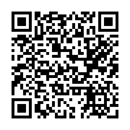 QR code for ZFZ307