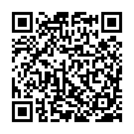 QR code for ZFZ595