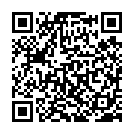 QR code for ZFZ611