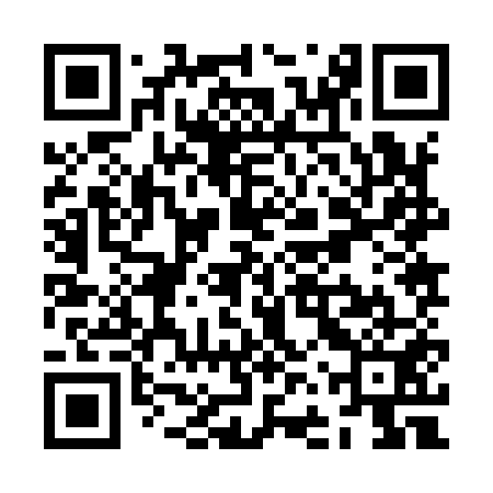QR code for ZFZ951