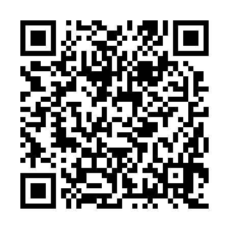 QR code for ZGB294