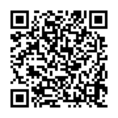QR code for ZGB398