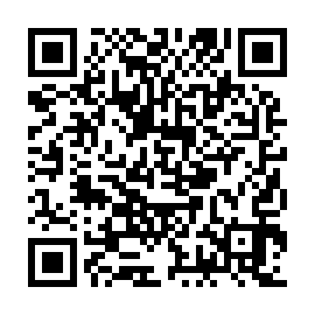 QR code for ZGB913