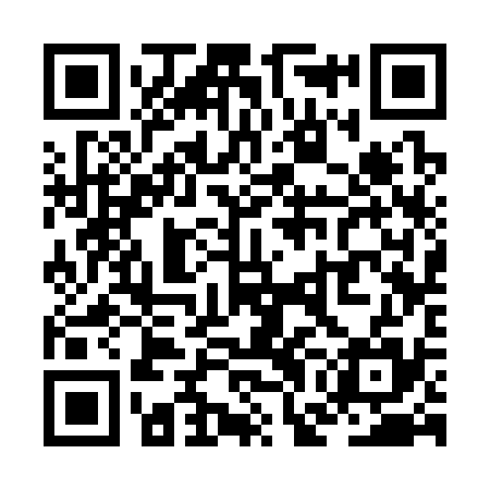 QR code for ZGC335