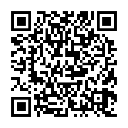 QR code for ZGC369
