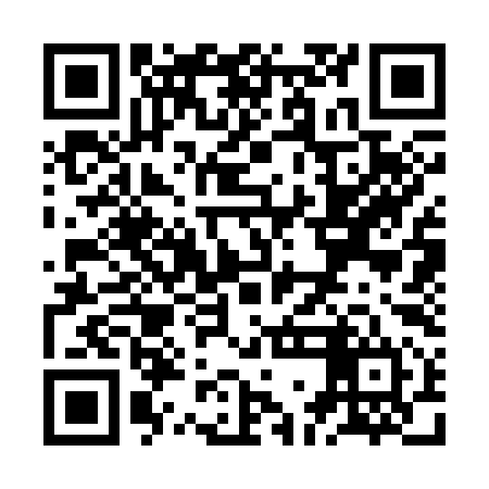 QR code for ZGC394