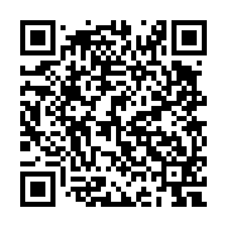 QR code for ZGC493