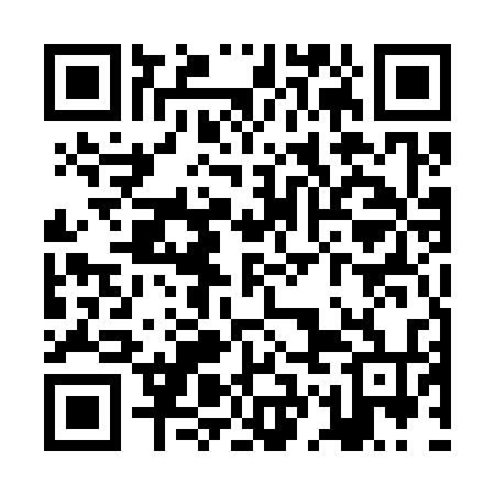QR code for ZGE334
