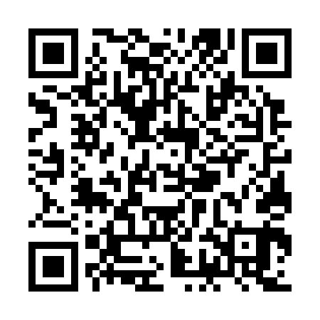 QR code for ZGG341