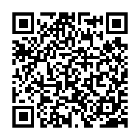 QR code for ZGG695
