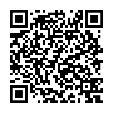 QR code for ZGH339