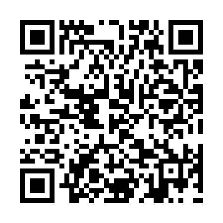 QR code for ZGH390