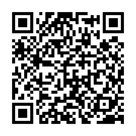 QR code for ZGI528