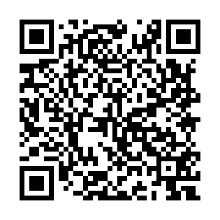 QR code for ZGI951