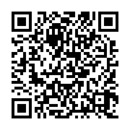 QR code for ZGL208