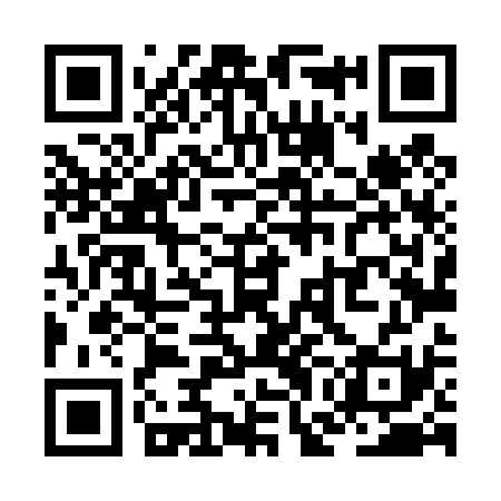 QR code for ZGL431