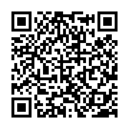 QR code for ZGL439