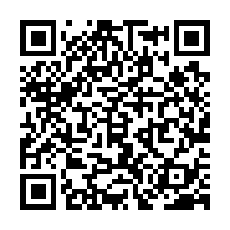 QR code for ZGL739