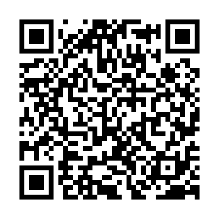 QR code for ZGN111